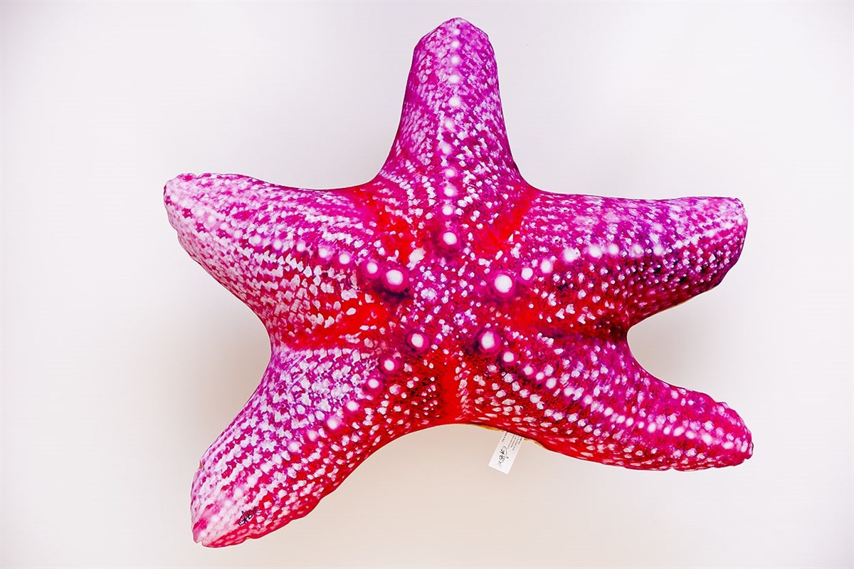 GABY FISH STARFISH 50cm