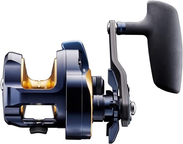 Moulinet Daiwa Saltiga 15 HL - Fiche Produit Top Fishing