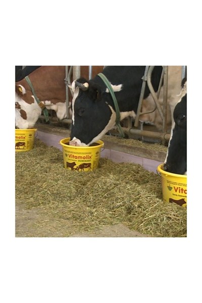 Vitamolix Ruminant 25 Kg