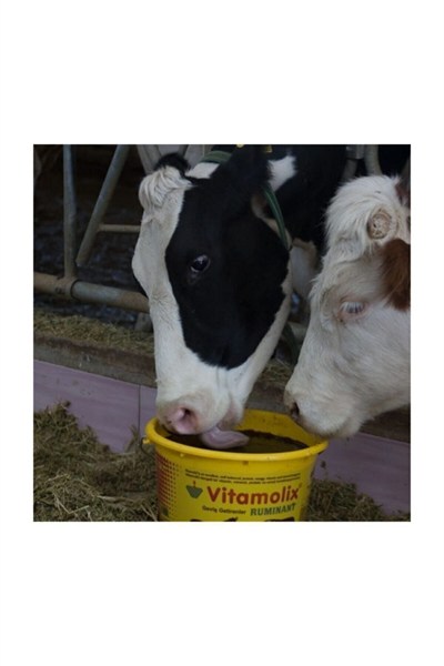 Vitamolix Ruminant 25 Kg