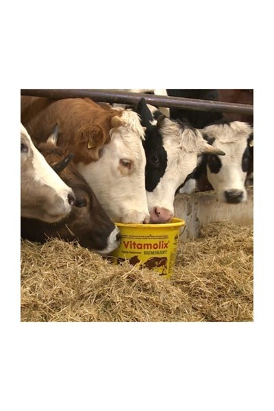 Vitamolix Ruminant 25 Kg