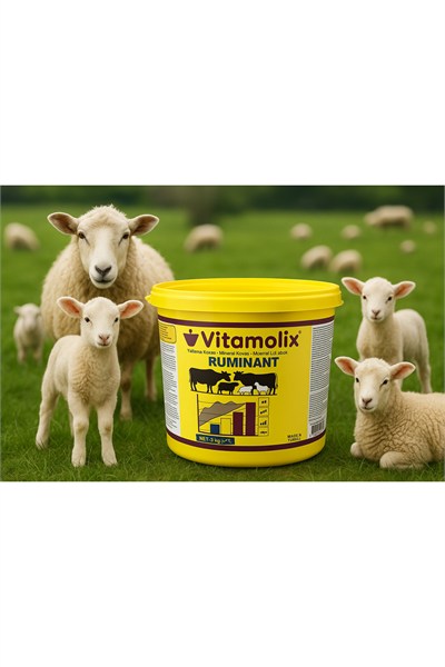 VİTAMOLİX YALAMA KUTUSU 3 KG