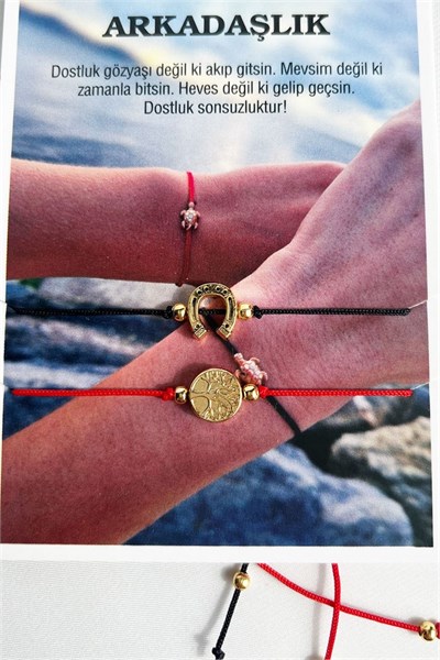 Friendship Bracelet Set