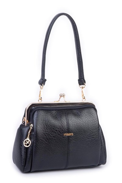 Nas Bag Scholarship Clip-On Vintage Shoulder and Crossbody Bag - Black Victoria