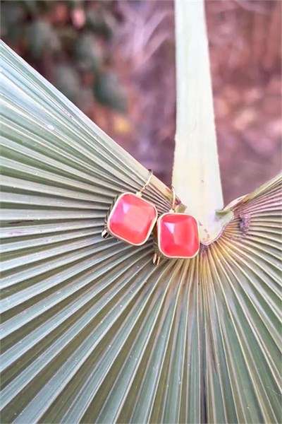 Orange Stone Steel Earrings