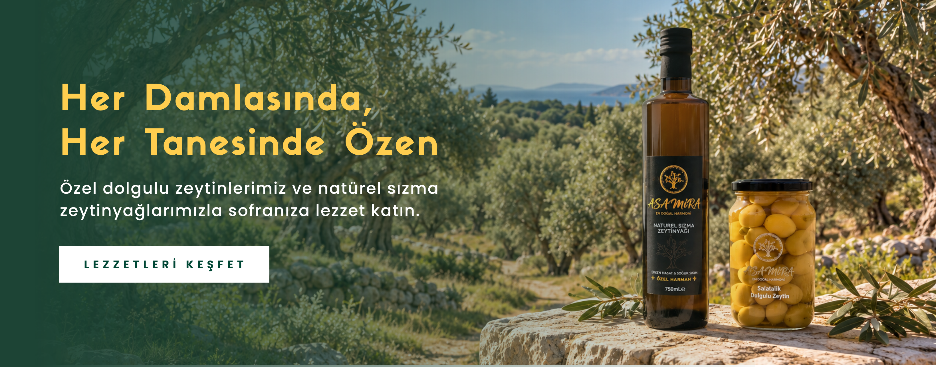 hakkımızda