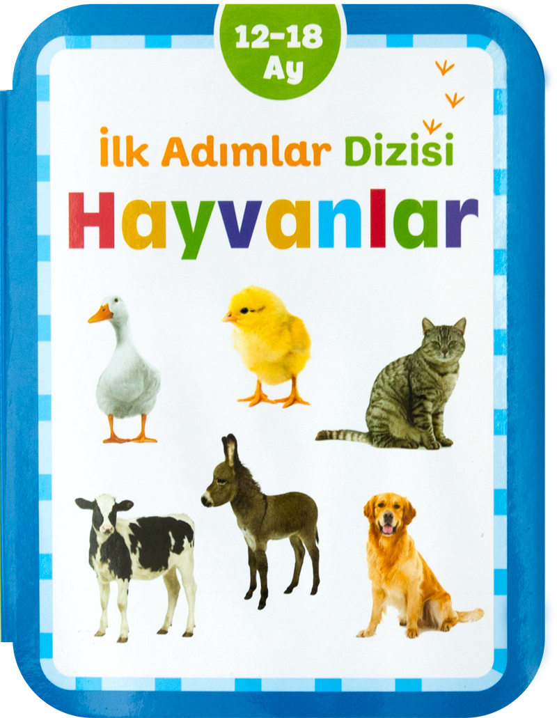 12-18 Ay Hayvanlar