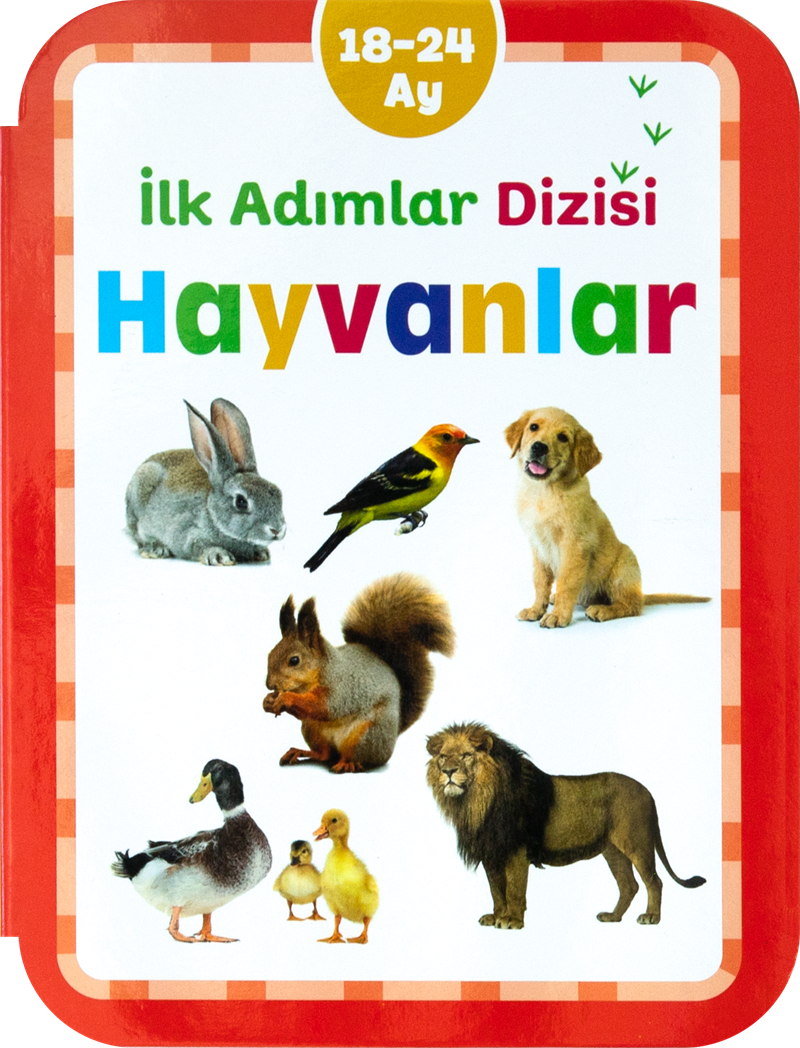18-24 Ay Hayvanlar