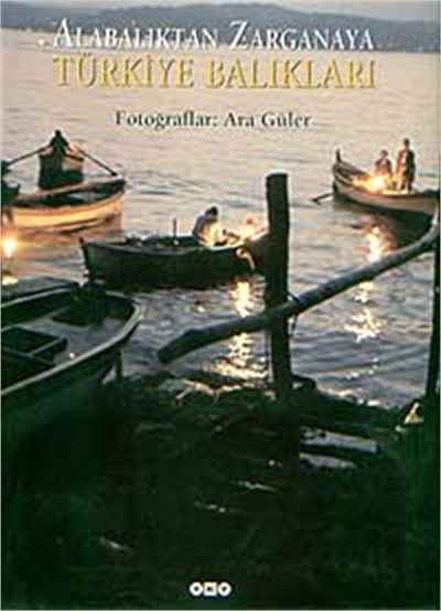 Alabalıktan Zarganaya Türkiye Balıkları