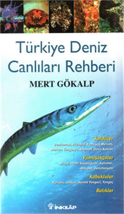 Türkiye Deniz Canlıları Rehberi