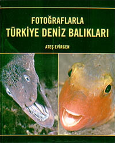 Fotoğraflarla Türkiye Deniz Balıkları