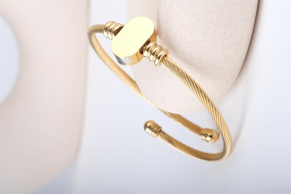 VIOLA GOLD STEEL BRACELET 