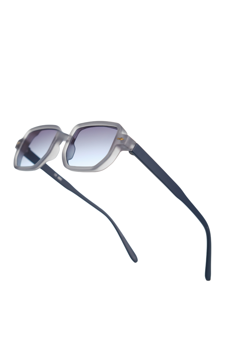 Royal Eyewear Re1022 Mat Gri Güneş Gözlüğü 