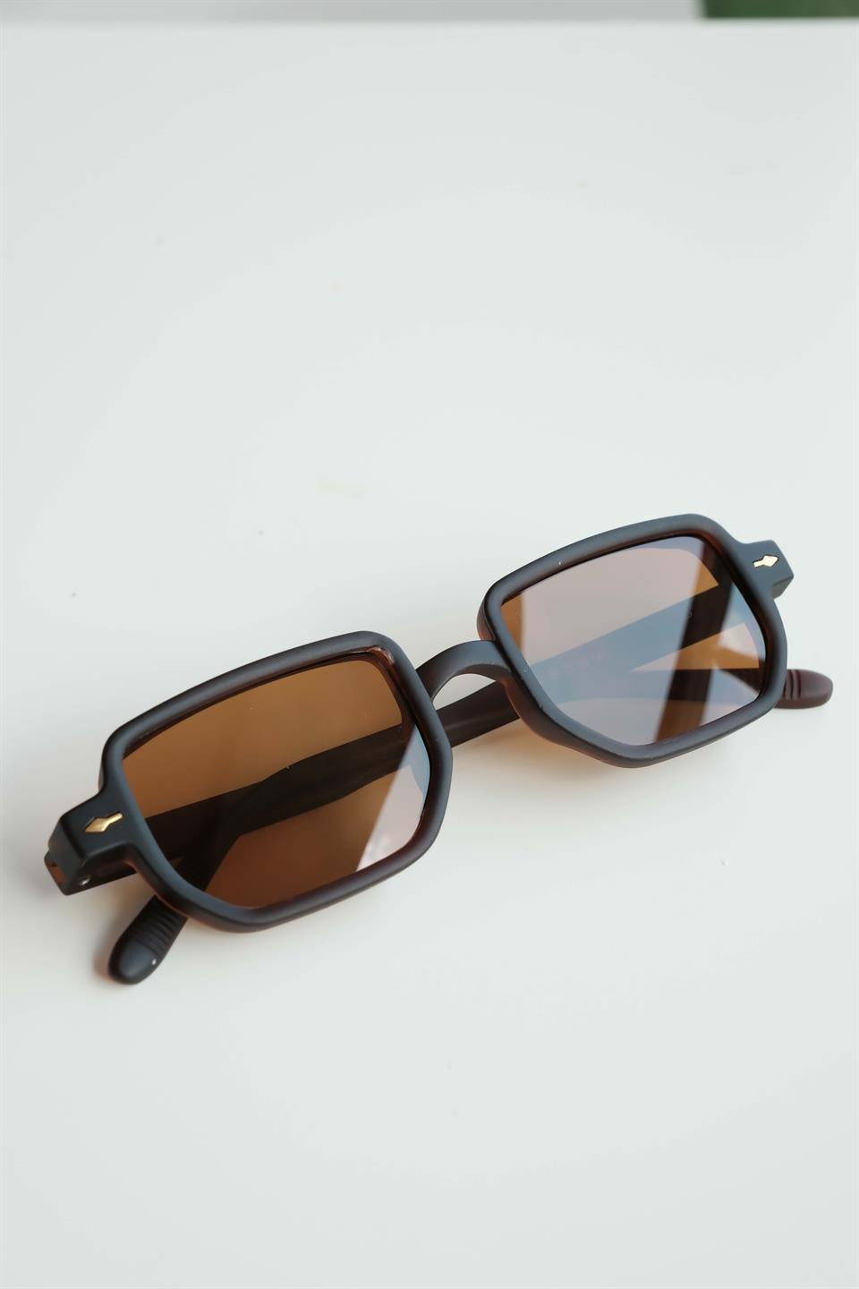Royal Eyewear Re1022 Koyu Kahve Güneş Gözlüğü 