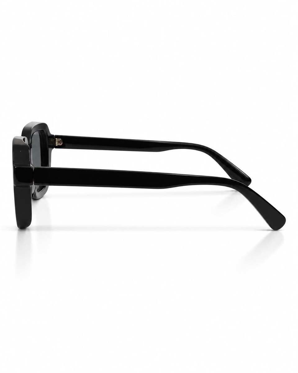Royal Eyewear Re1022 Mat Siyah Güneş Gözlüğü 