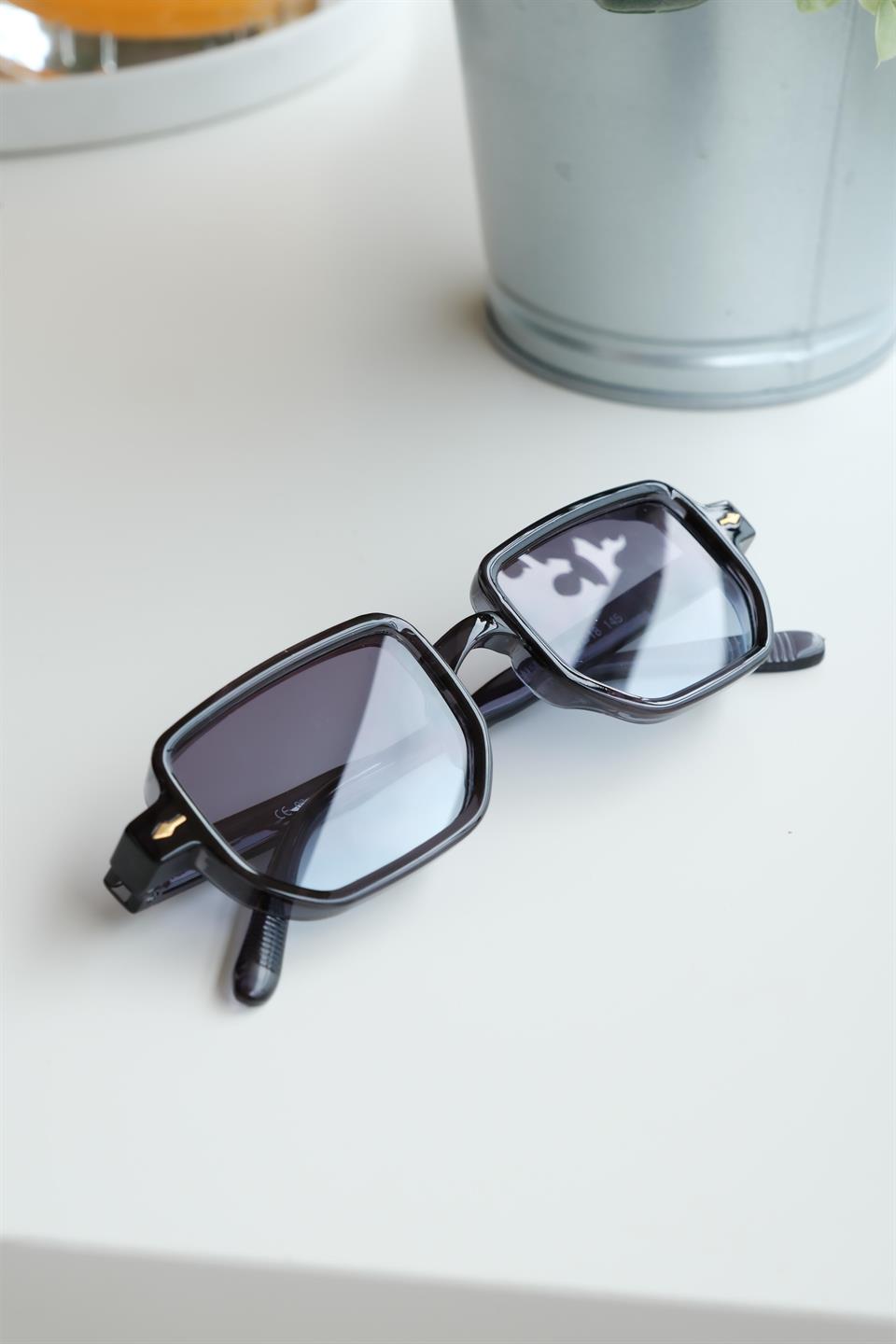 Royal Eyewear Re1022 Mat Gri Güneş Gözlüğü 