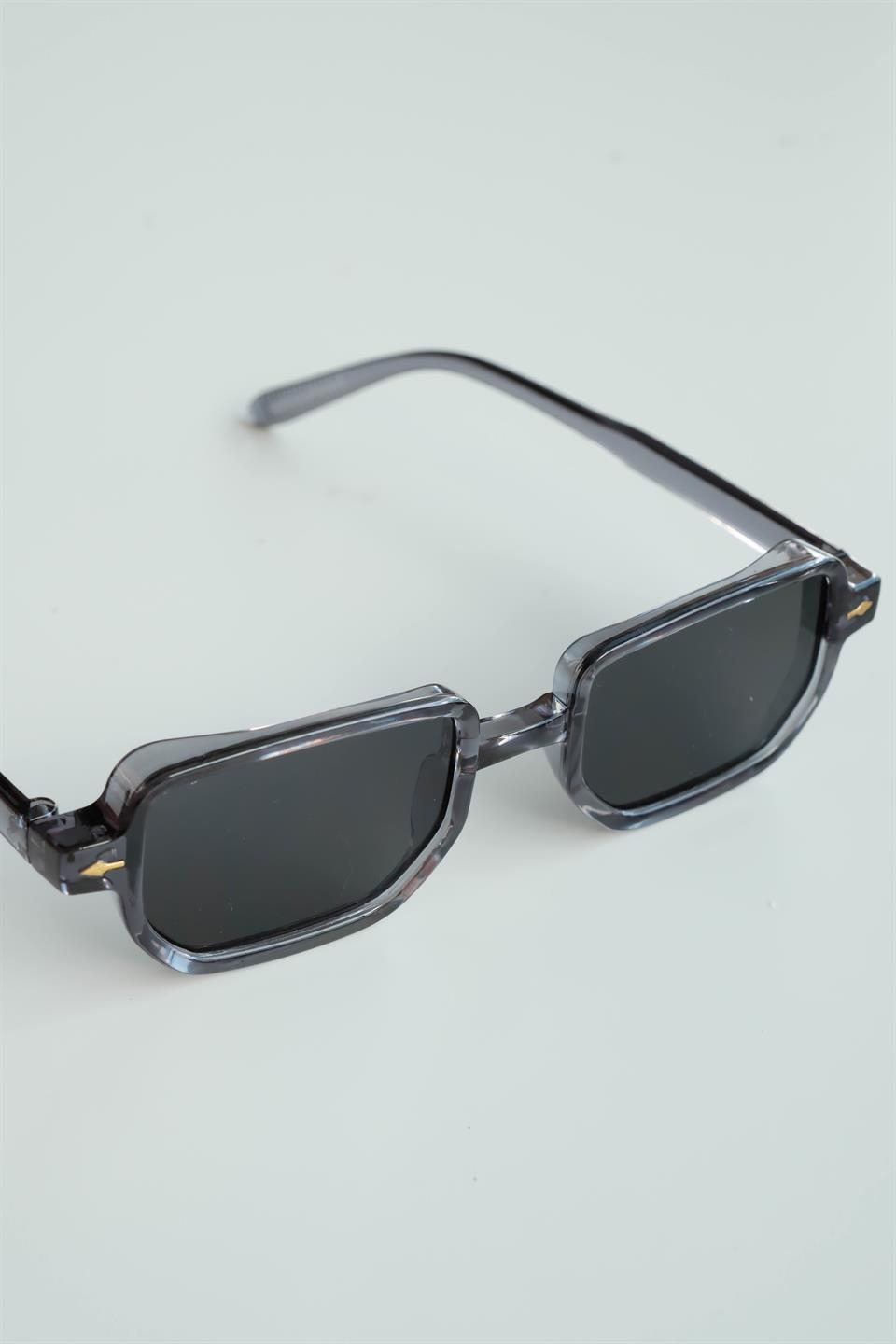 Royal Eyewear Re1022 Parlak Gri Güneş Gözlüğü 