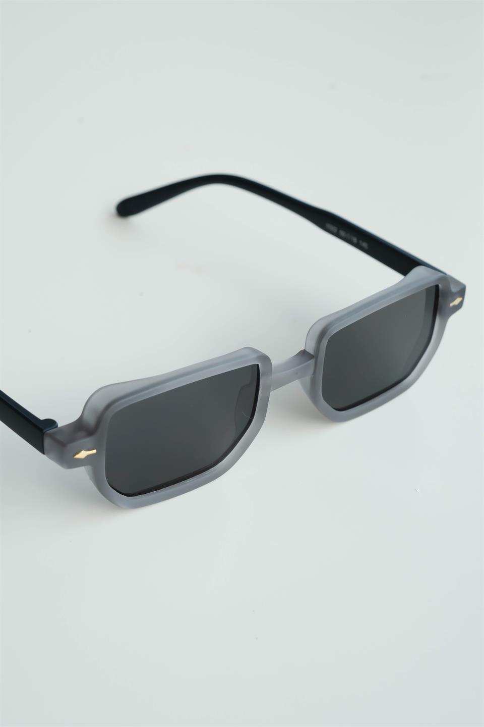 Royal Eyewear Re1022 Mat Gri Güneş Gözlüğü 