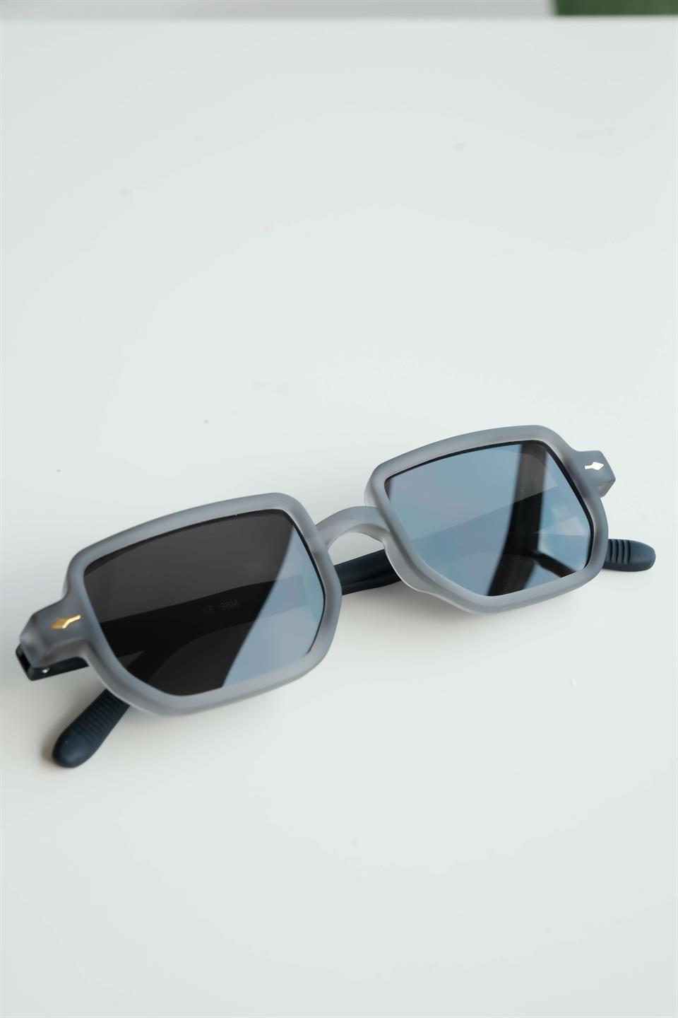 Royal Eyewear Re1022 Mat Gri Güneş Gözlüğü 