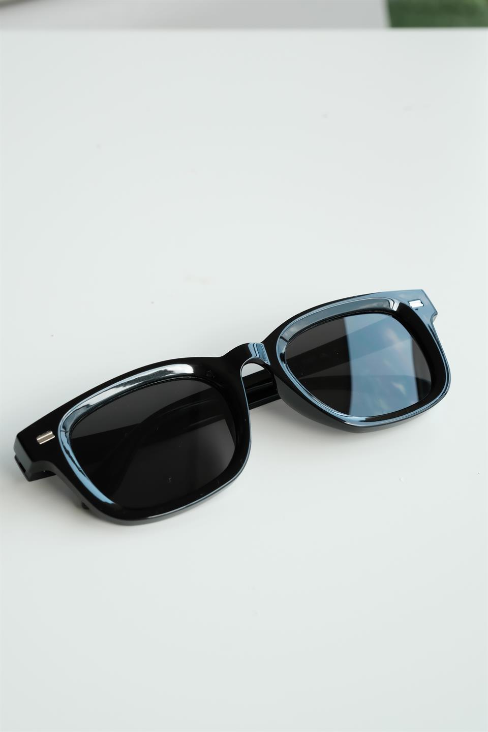 Royal Eyewear Re2303 Siyah Güneş Gözlüğü 