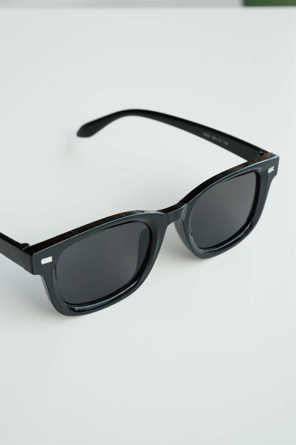 Royal Eyewear Re2303 Siyah Güneş Gözlüğü 