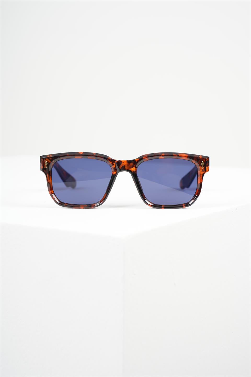 ROYAL EYEWEAR RE65038 MAVİ LEOPAR UNİSEX GÜNEŞ GÖZLÜĞÜ