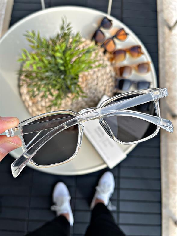 ROYAL EYEWEARTRANSPARAN GRAY LORRAINEW