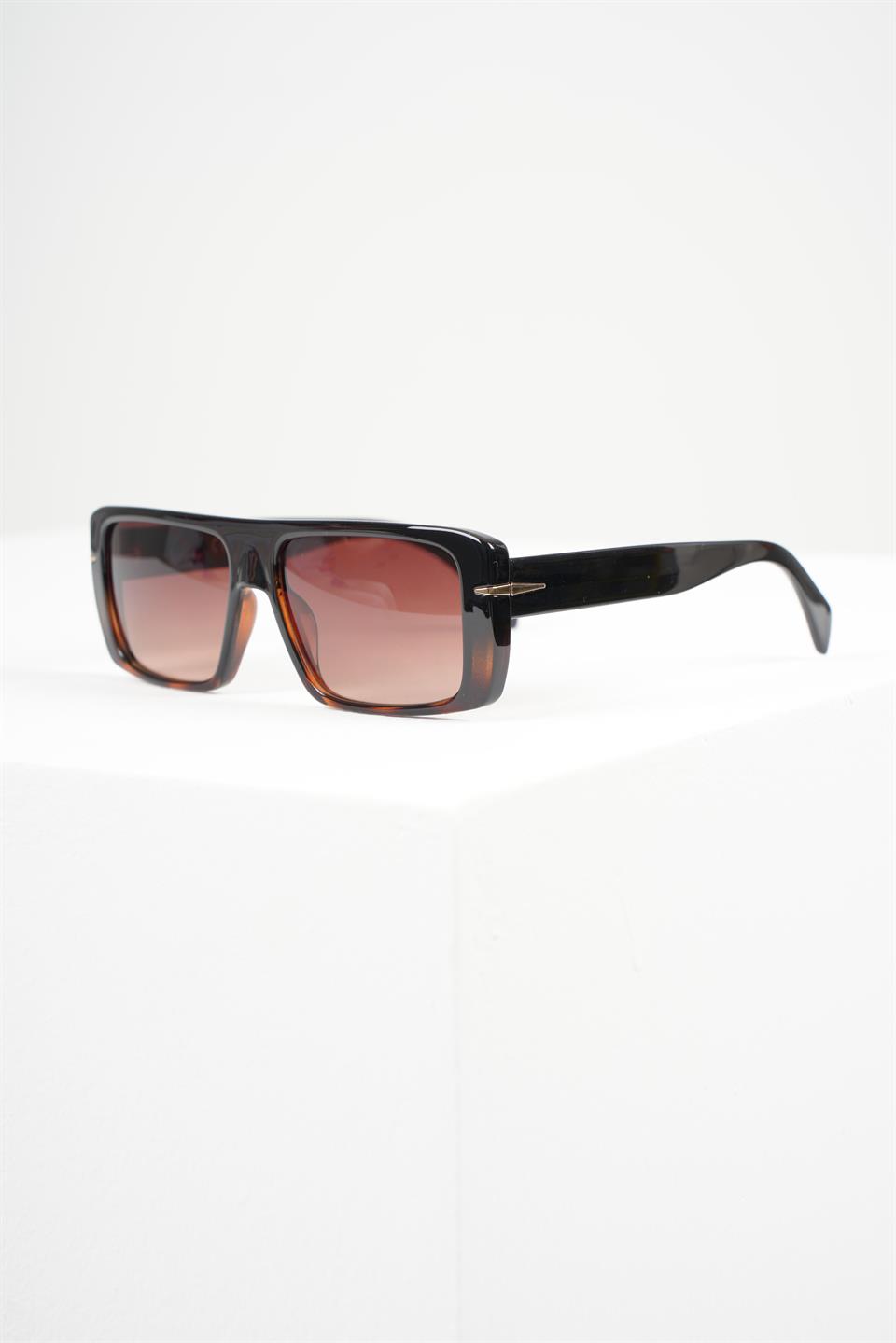 ROYAL EYEWEAR RE7063 BROWN 
