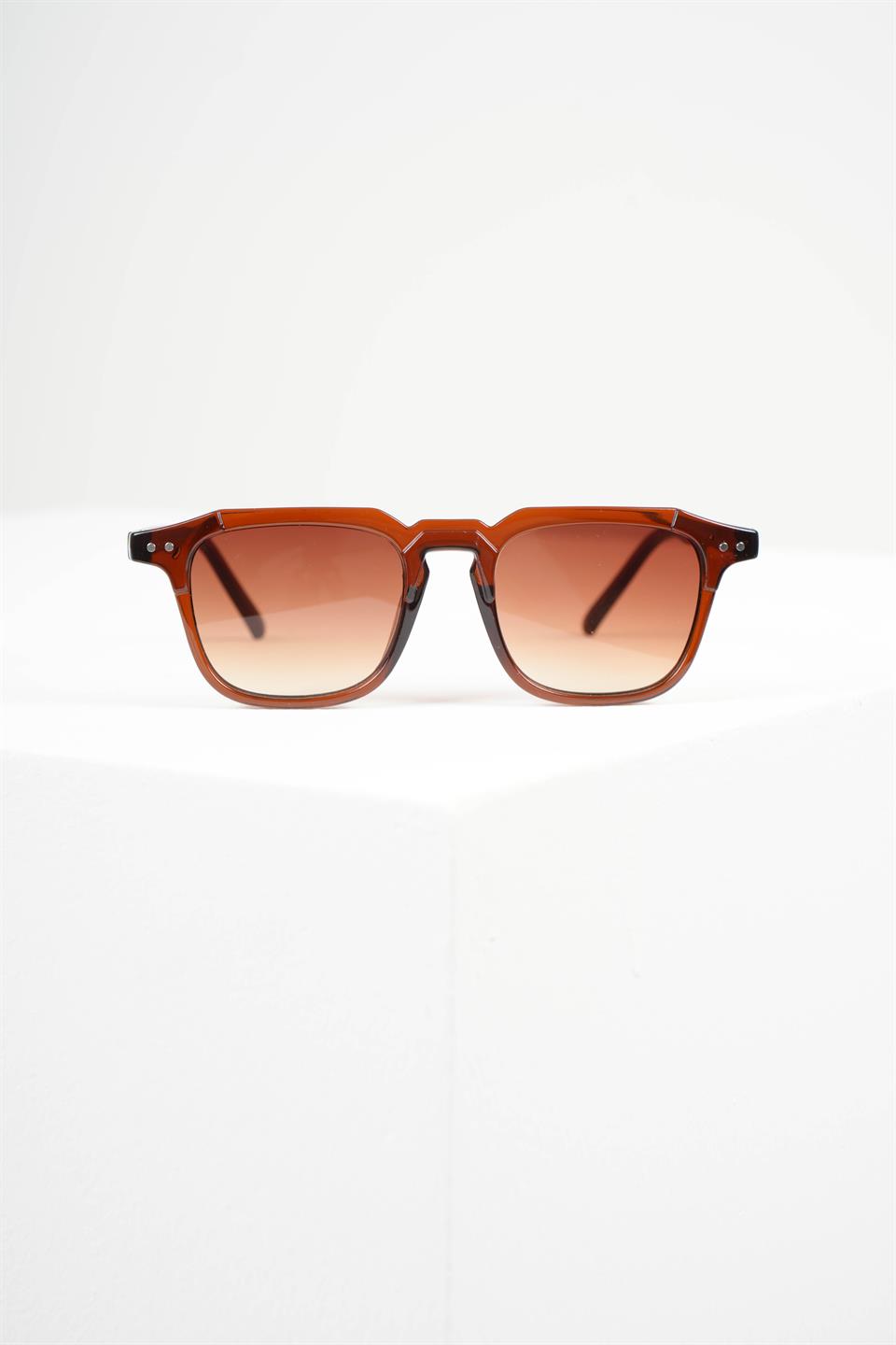 ROYAL EYEWEAR RE981 BROWN 