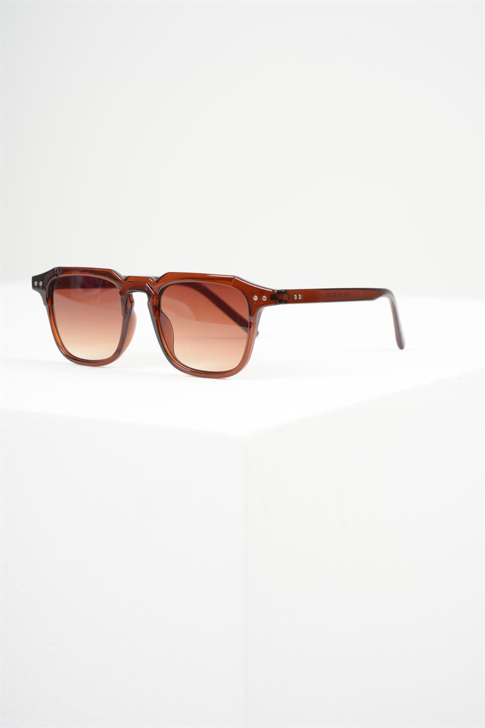 ROYAL EYEWEAR RE981 BROWN 