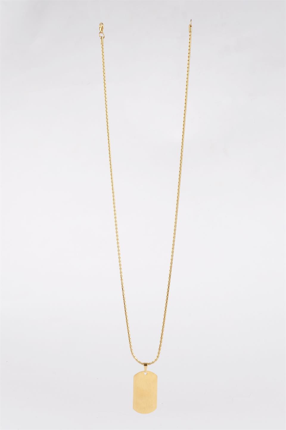 VALORE GOLD ZİNCİR ÇELİK KOLYE