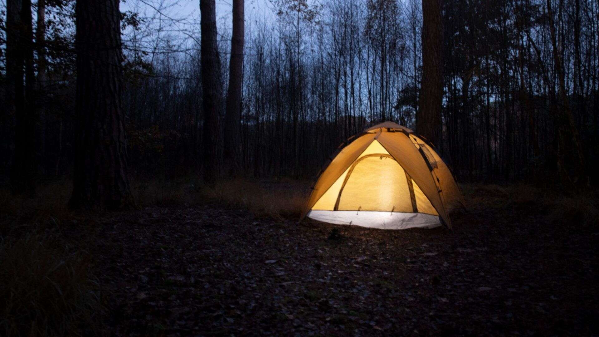 kamp-lambasi