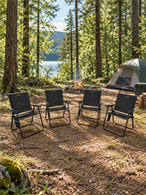 4'Lü Orion Sandalye Set