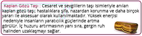 Kaplan Gözü 