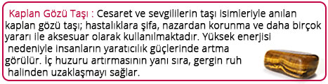 Kaplan Gözü 