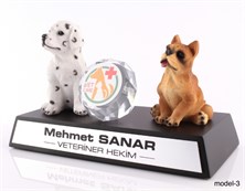 Veteriner Masa isimliği