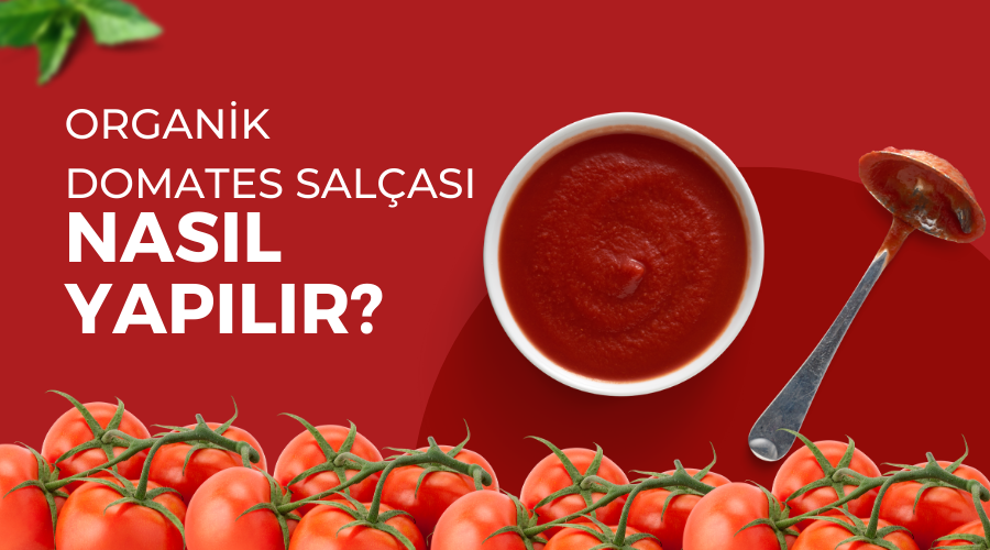 Organik Domates Salçası Nasıl Yapılır?