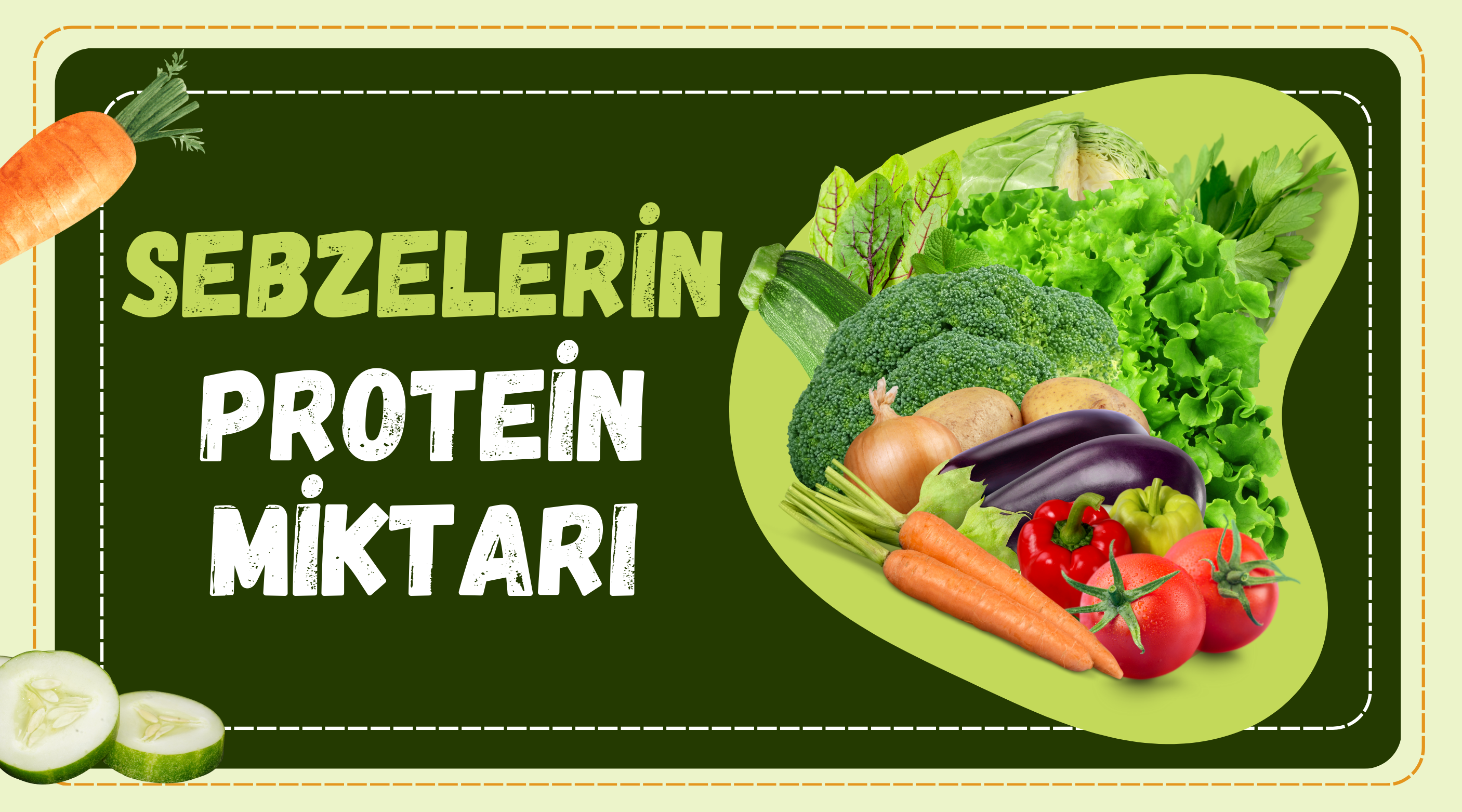 Sebzelerin Protein Miktarı