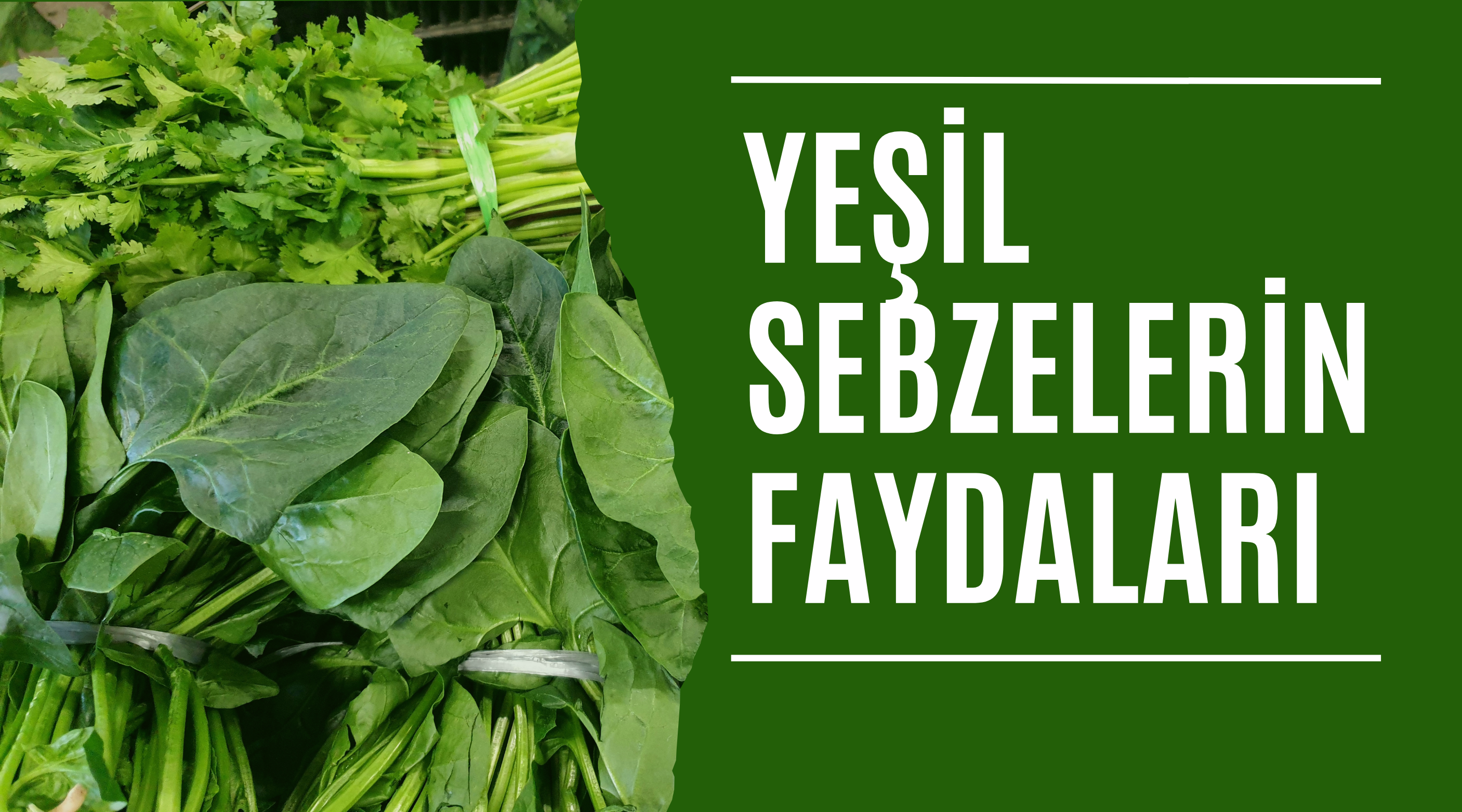 Yeşil Sebzelerin Faydaları