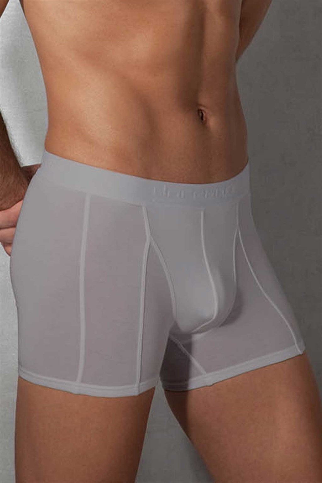 Doreanse Erkek Modal Torbalı  Normal Paça Boxer 1755