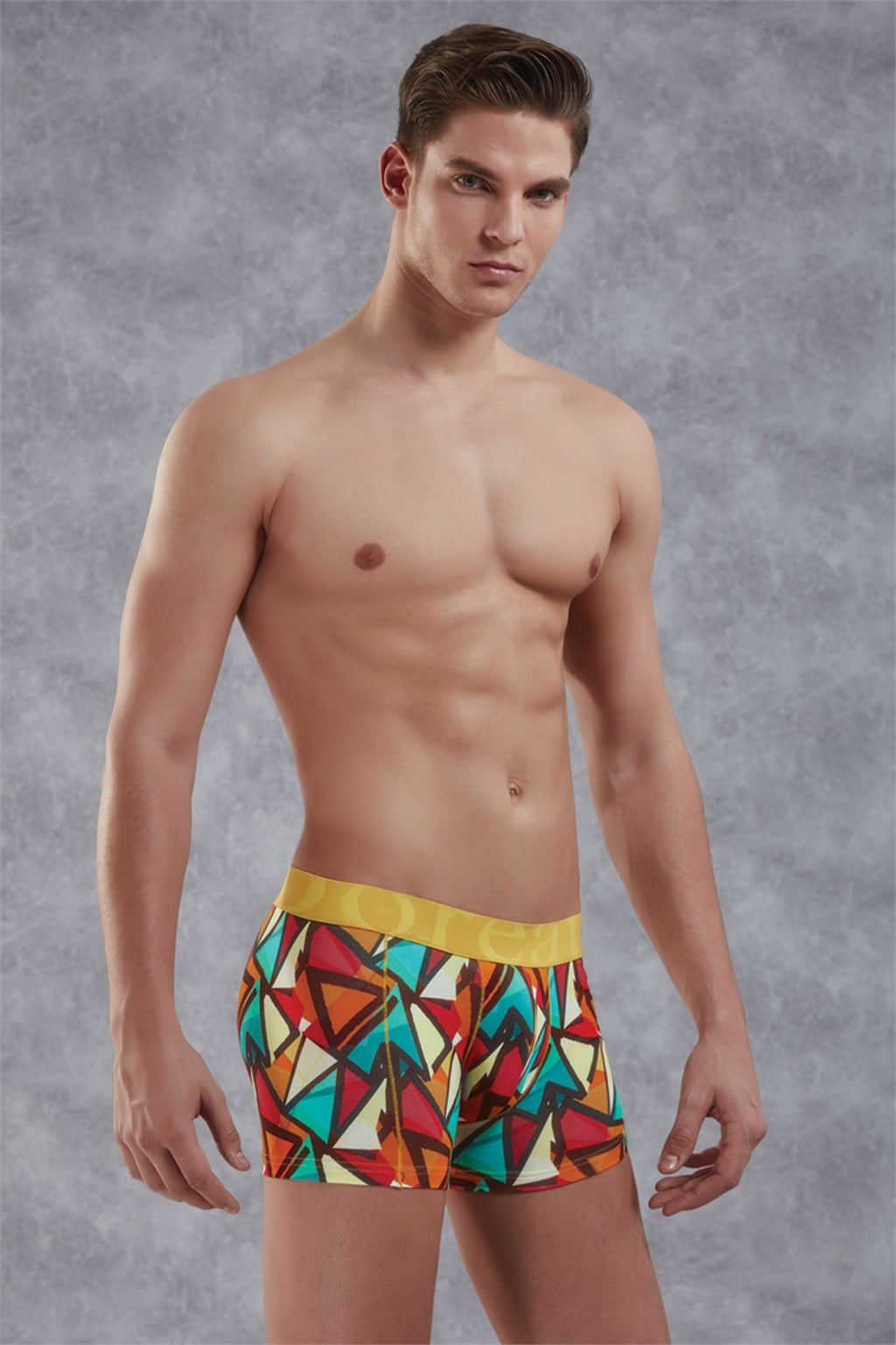Doreanse Erkek Modal Çok Renkli Baskılı Torbalı  Normal Paça Boxer 1873