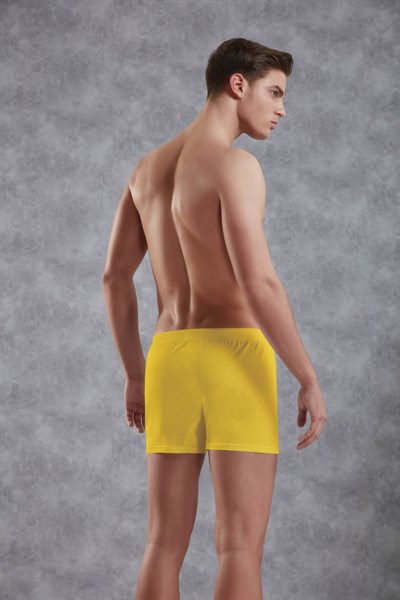 DOREANSE ERKEK BOXER 1511