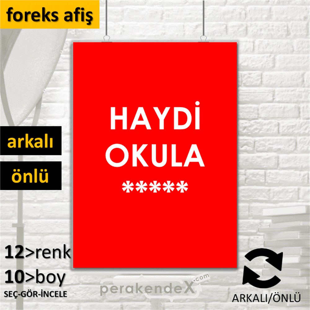 haydi okula ***** SERT PLASTİK POSTER,  AFİŞ -dikdörtgen,çift yön baskı