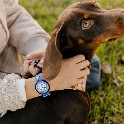 Flik Flak Cutie Puppy FBNP237 Çocuk Saati