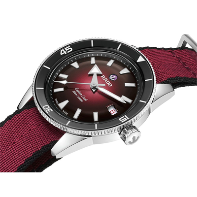 Rado Captain Cook Automatic 39mm Erkek Saati R32223408