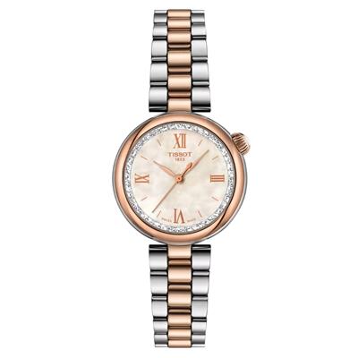 Tissot Desir 28mm Kadın Kol Saati T152.010.22.118.00