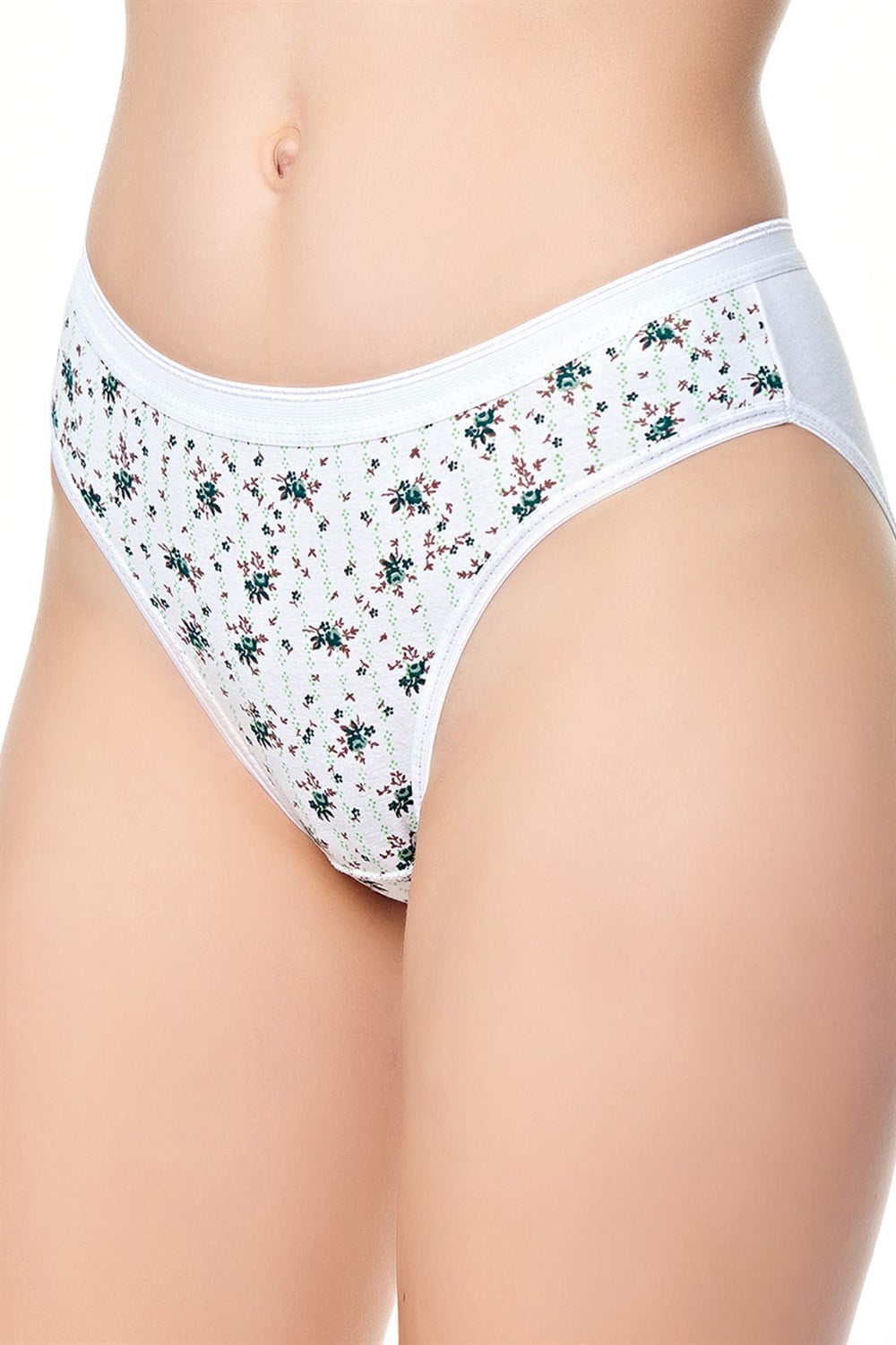 Tutku Kadın Elastan Likralı Ebru Bikini Külot 3'lü Paket