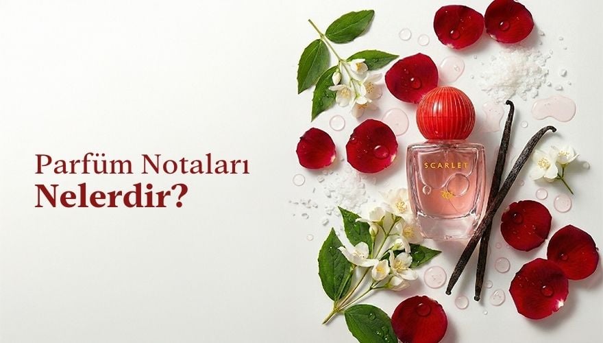 parfum-notolari-nelerdir