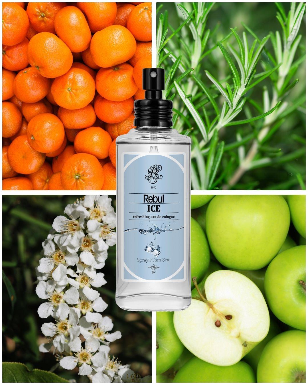 Rebul Ice EDC Kolonya 100 ml Cam Şişe