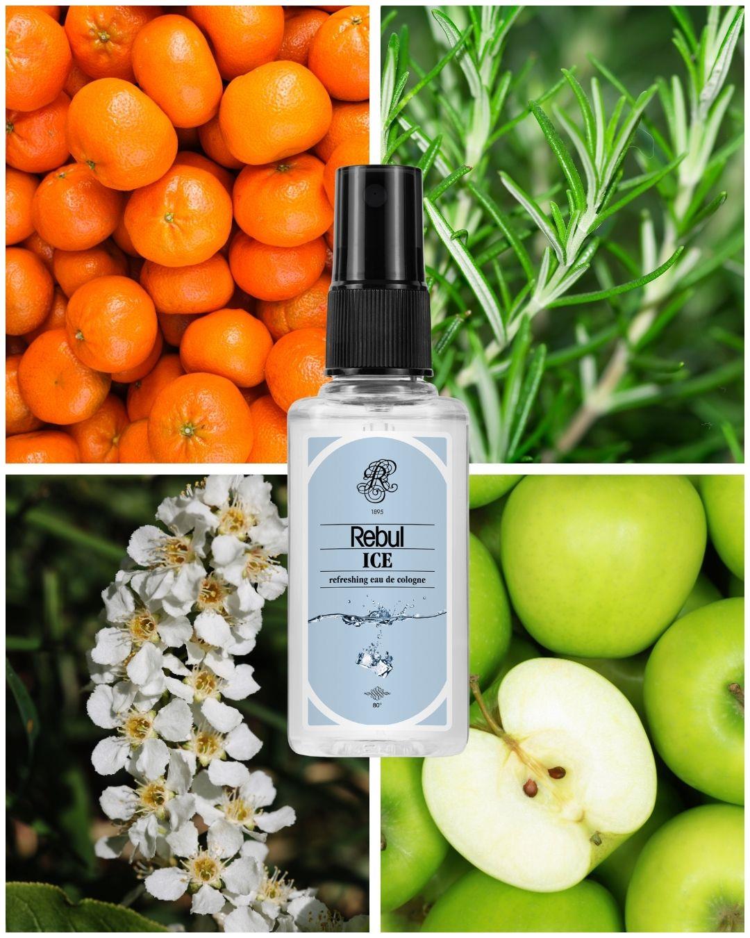 Rebul Ice EDC Kolonya 50 ml Pet Şişe